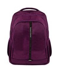 MOCHILA PERFECT CHOICE PARA LAPTOP 156 A 17 ESSENTIALS MORADA