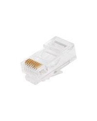 PLUG RJ45 CAT6 GHIA UTP CAJA C 100 PZAS